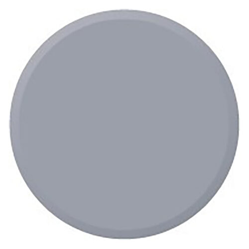 COLOR MASK SILVER-ARGENTO 300 ML